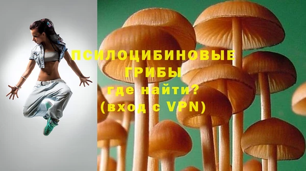 стафф Заволжье