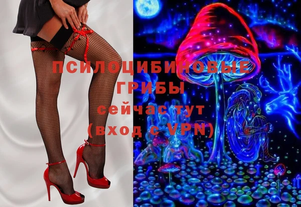 стафф Заволжье
