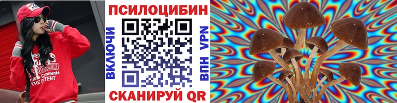 Купить  Ершов  Псилоцибиновые грибы мицелий 